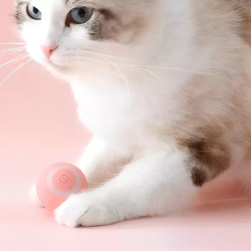 PetPlay pelota Inteligente para gato Estimula y Divierte 2x1