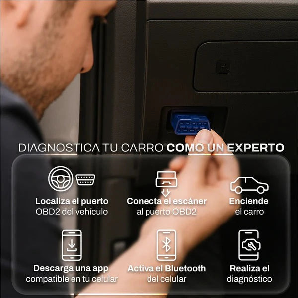 Encabezado